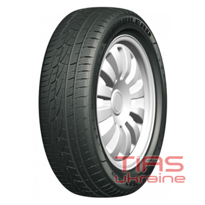 Habilead IceMax RW505 195/55 R16 87H