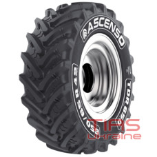 Ascenso TDR 650 (с/х) 440/65 R28 138D