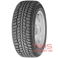 Roadstone WinGuard 231 225/50 R16 92T (под шип)